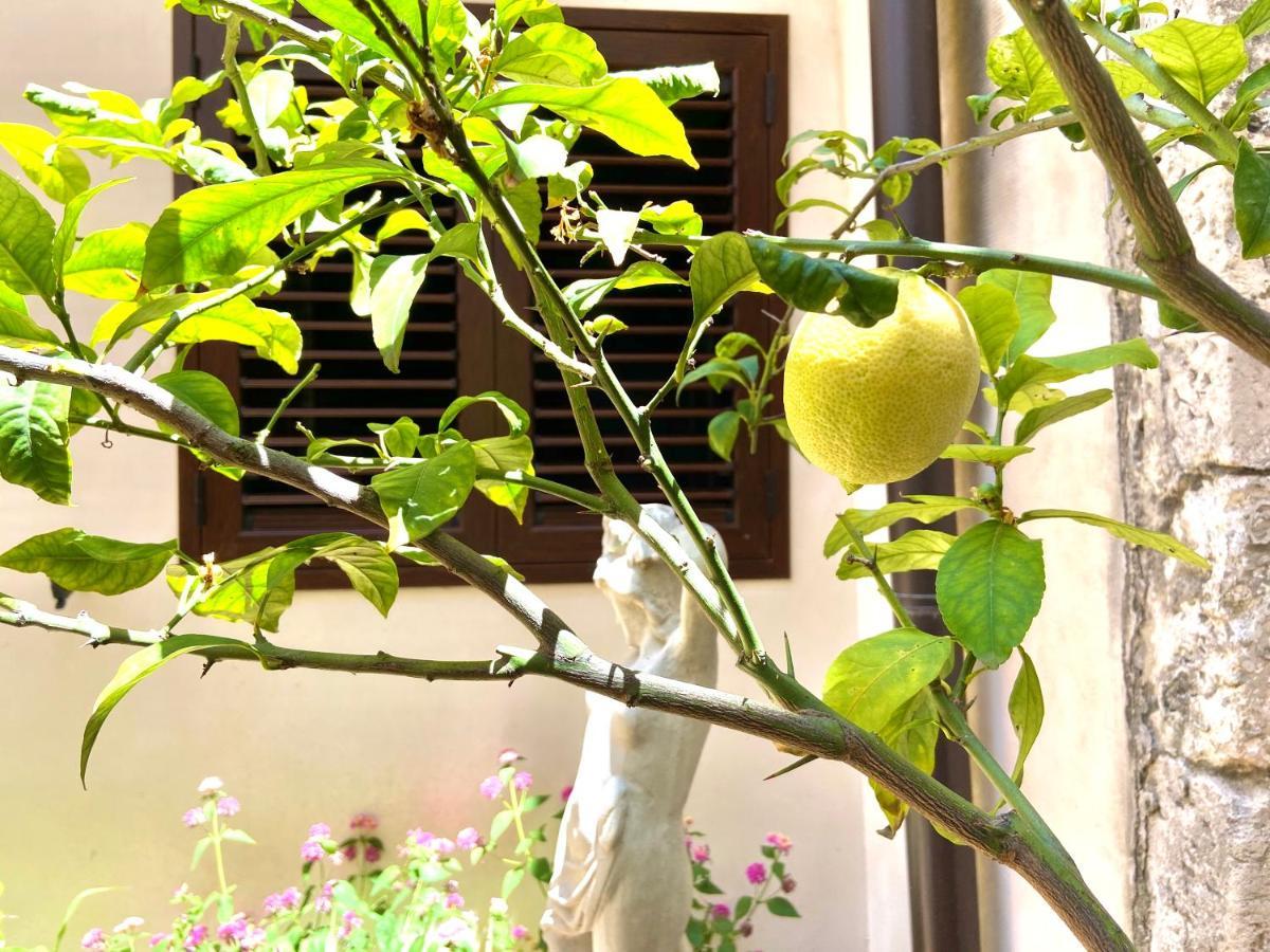 Appartamento Casa Aurora
